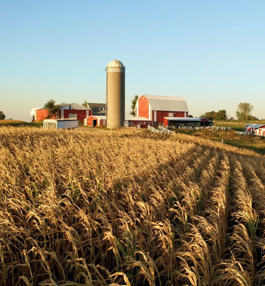 Home equity in Iowa