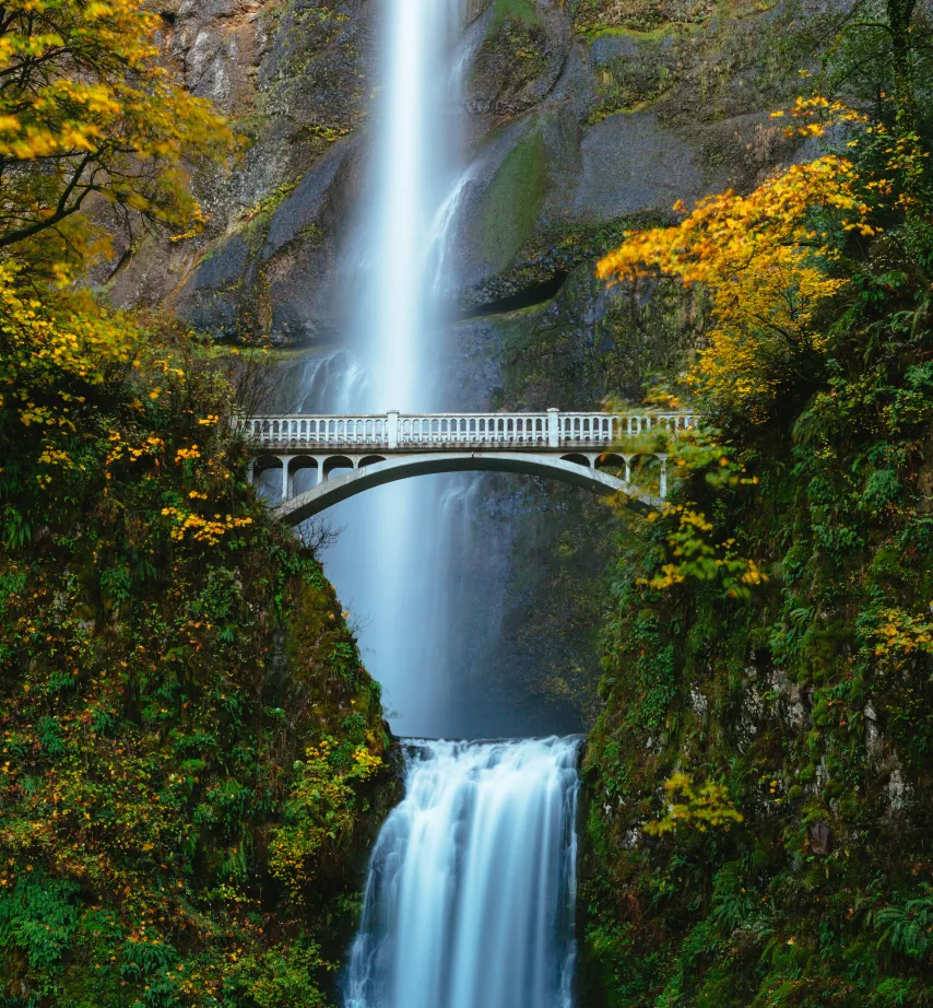 Home equity in Eugene, OR