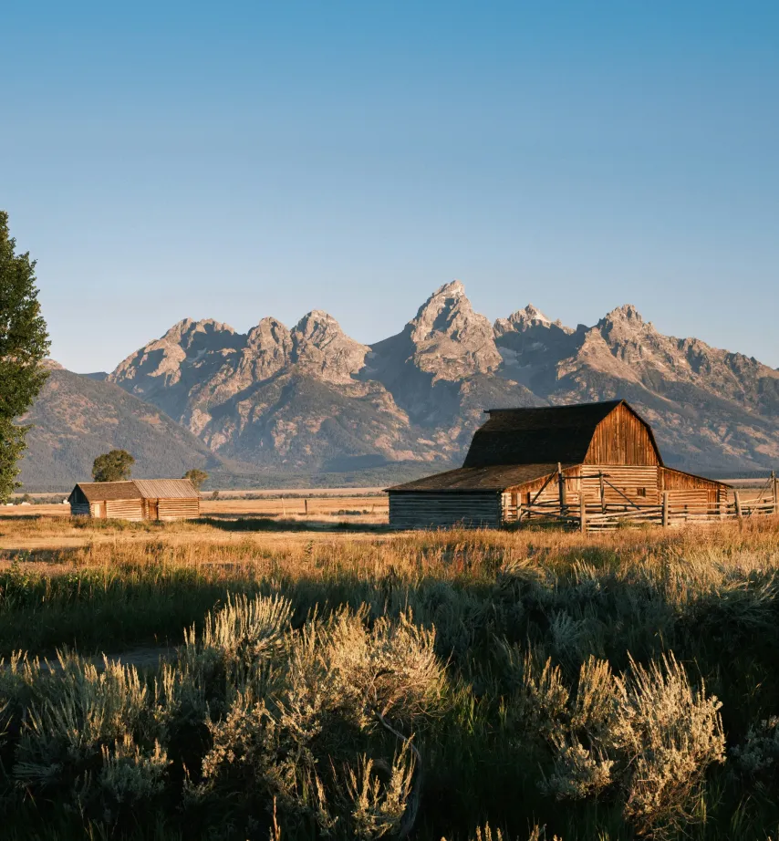 Home equity in Wyoming